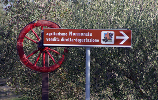 Momoraia